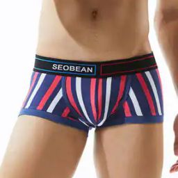 Men Stripes Boxer Briefs-picture-51