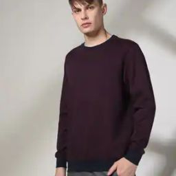 Men Jacquard Knit Crew-Neck Sweatshirt-image-25