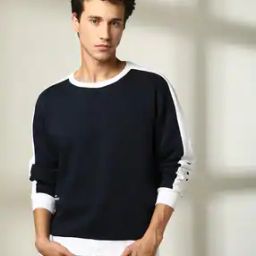 Men Cut & Sew Regular Fit Sweatshirt-picture-22