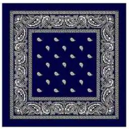 Unisex Paisley Print Cotton Bandana-image-89