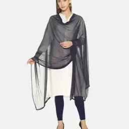 twin birds Women Nylon Light-Weight Dupatta-picture-10