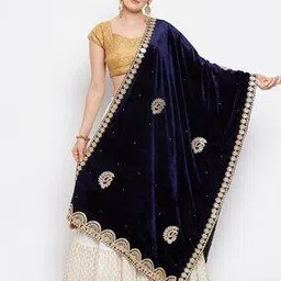 Embellished Dupatta with Contrast Border-picture-46