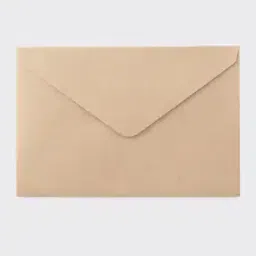 Pack Of 20 Kraft Paper Envelope-47
