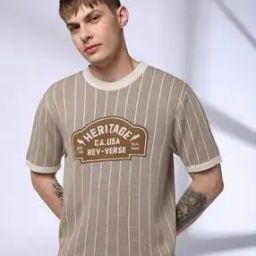 Men Striped Regular Fit Crew-Neck T-Shirt-image-83
