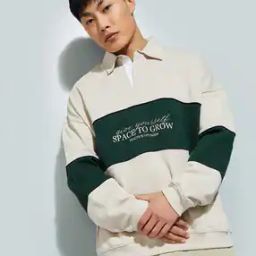 Men Regular Fit Sweatshirt-image-70