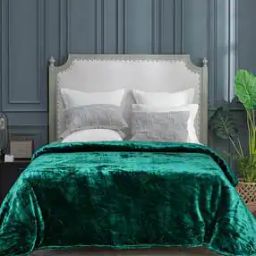 Polyester Pack Of 1 Blanket-image-58