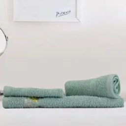 Set of 3 500 GSM Embroidered Cotton Towels-picture-35