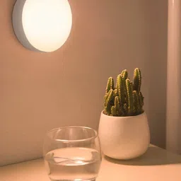 Glimmer Lightings Yellow Motion Spherical Sensor Light-5