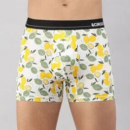 Men Leaf Print Boxer Briefs-picture-35