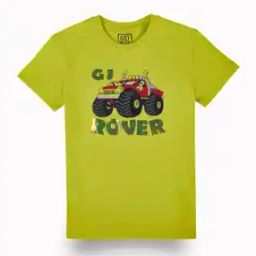 Boys Regular Fit T-Shirt-picture-49