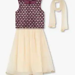 Girls Embellished Top with Skirt & Dupatta Set-image-17