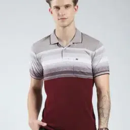  Men Collar Neck Polo Stripes T-shirt-image-65