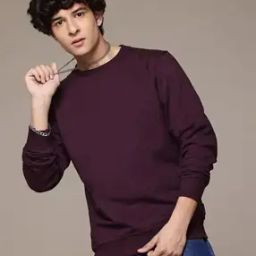 Men Regular Fit Sweatshirt with Full Sleeves-image-20