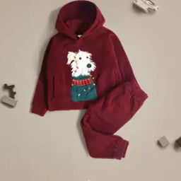 Boys Sweatshirt Set-image-40