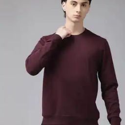 Men Regular Fit Round Neck Sweatshirt             -picture-33