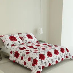LABHAM Rose Garden White & Red Floral 180 TC Cotton King Bedsheet With 2 Pillow Covers-picture-14