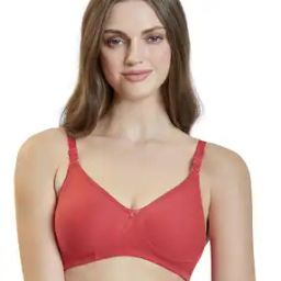 Women Non-Padded T-Shirt Bra-picture-15