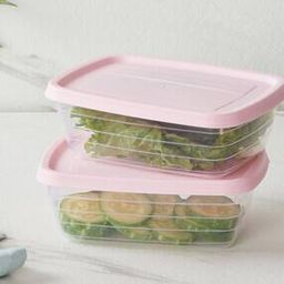 Set of 2  Storage Containers with Lid-image-53