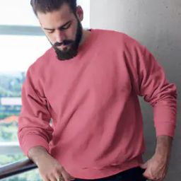 Men Regular Fit Crew-Neck Sweatshirt-picture-11