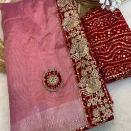 Women Embellished Saree with Lace Border-image-27