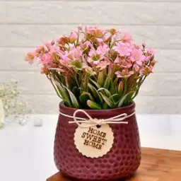 tayhaa Plastic Artificial Plant with Pot-picture-28