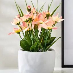 Gloria Bud Artificial Platycodon Flowers Cement Pot-35