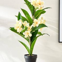 Gardenia Plumeria Artificial Magnolia Potted Plant-image-43