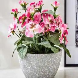 Gloria Bloom Artificial Pancy Flowers in Paper Mache Pot-image-31