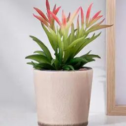 Corsica Barnett Artificial Succulent in Ceramic Pot-23