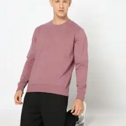 Men Regular Fit Crew-Neck Sweatshirt-image-9