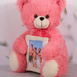 Dukiekooky Super Cute Adorable Teddy Bear Soft Toy-image-82