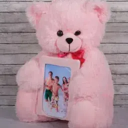 Dukiekooky Super Cute  AdorableTeddy Bear Soft Toy-image-37