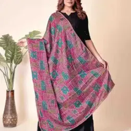 ebadat Women Embellished Chinnon Dupatta-picture-41