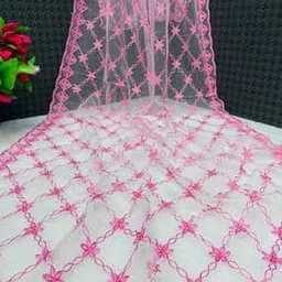 Women Embroidered Dupatta with Stitch Detail-image-33