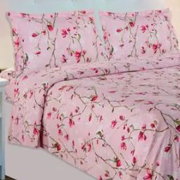 Printed Double Bedsheet with Pillow Covers-25