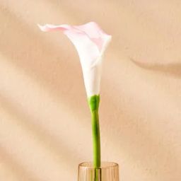 Botanical Artificial Calla Lily Flower - 35cm-21