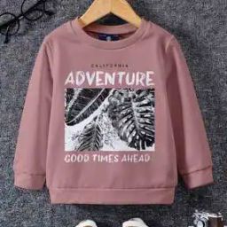 Boys Regular Fit Graphic Print Sweatshirt-image-23