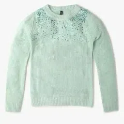 Embellished Round-Neck Sweater-40