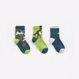 Pack of 3 Socks with Dinosaur Motifs-image-25