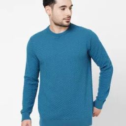 Men Regular Fit Sweatshirt-image-17