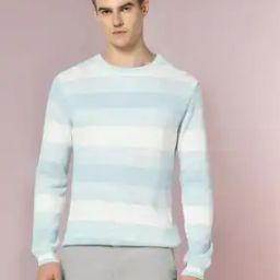 Men Striped Regular Fit Crew-Neck T-Shirt-image-83