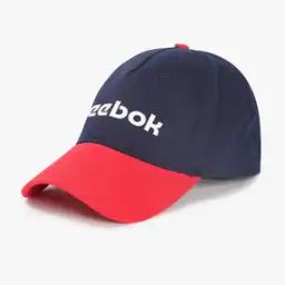 Men Colourblock Baseball Cap with Logo Print-33