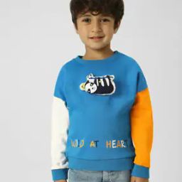 Boys Regular Fit Sweatshirt-image-63