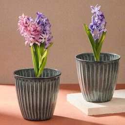 Set of 2 Metal Table Planters-19