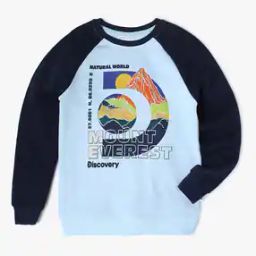 Printed Regular Fit Sweatshirt-image-50