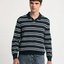 Men Regular Fit Striped Polo T-Shirt-picture-30