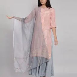 Women Embroidered Organza Dupatta-image-1