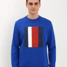 Men Logo Embossed Regular Fit Crew-Neck Sweatshirt-picture-11