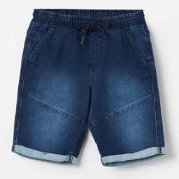 Boys Single-Pleat Regular Fit Shorts-picture-29
