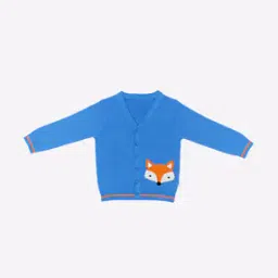 h by hamleys V-neck Cardigan with Full Sleeves-picture-38